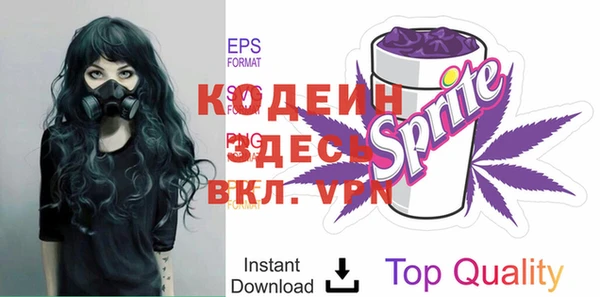амф Вяземский