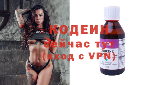 амф Вяземский