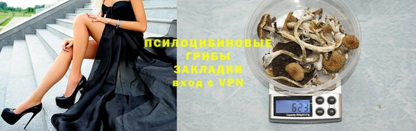 амф Вяземский