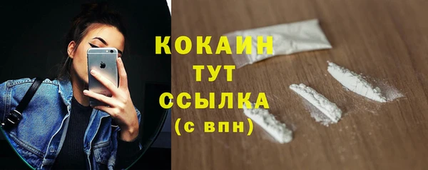 гидра Тайга