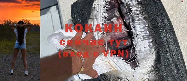 амф Вяземский