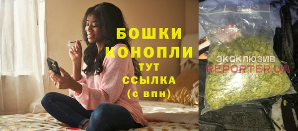 гидра Тайга